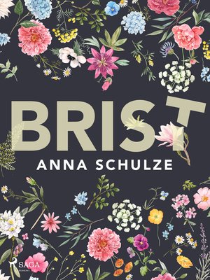 cover image of Brist